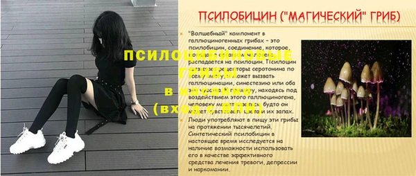 марки nbome Алзамай